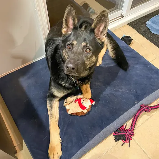 Vader