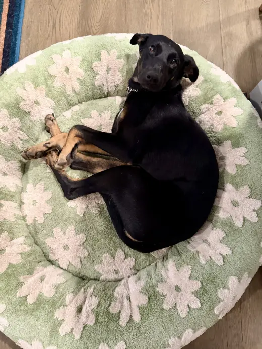 Matilda