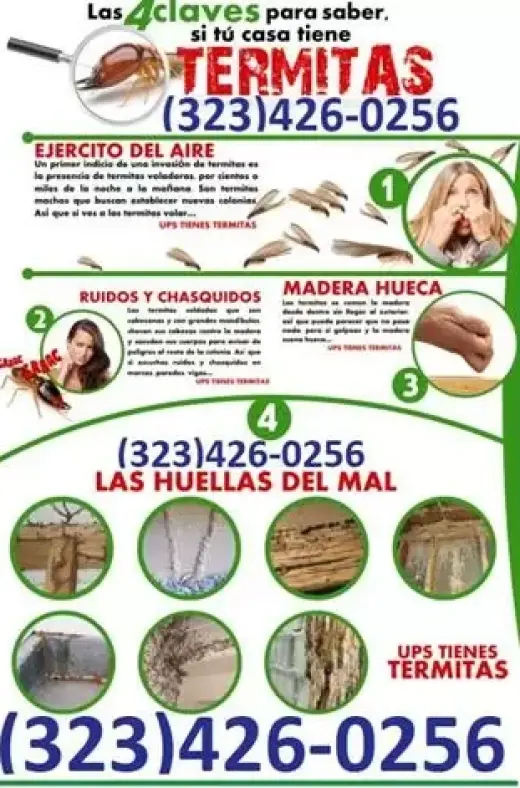 CURATIVO/PREVENTIVO EN TERMITA