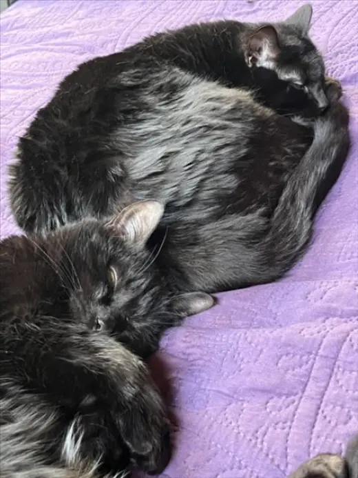SNUGGLE