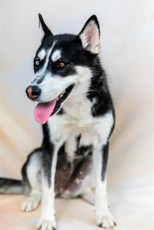 LUNA
