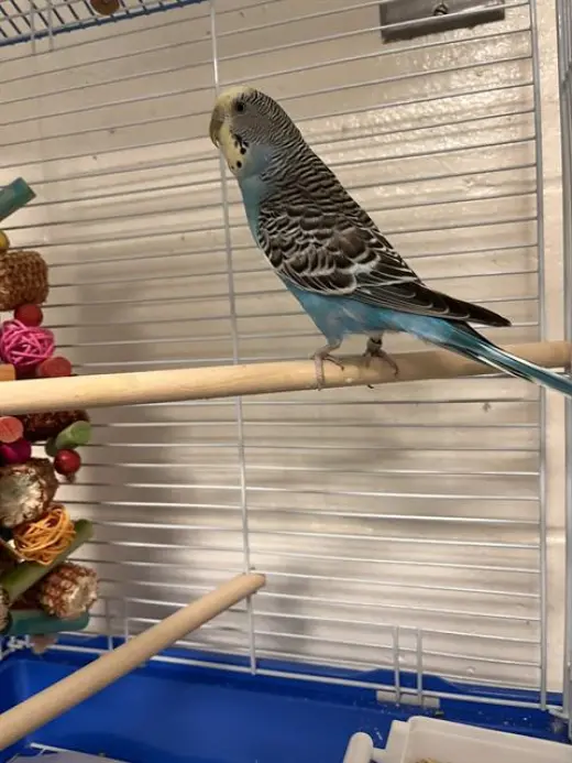 LUPITA