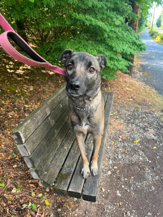 Ella