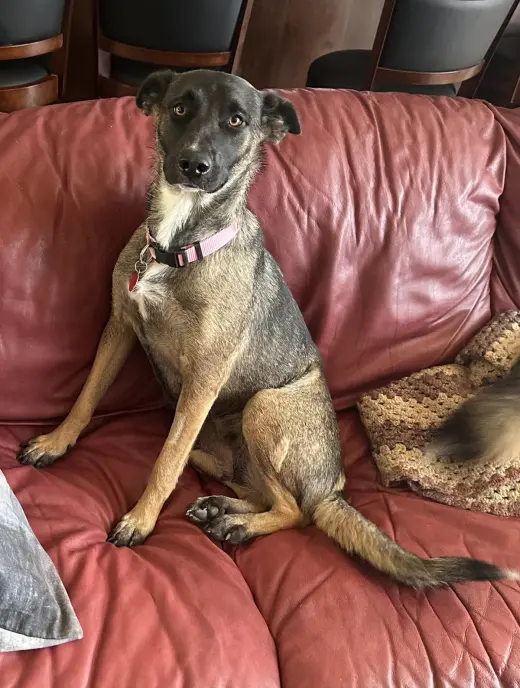 Rita/Maggie May
