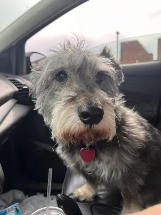 Oscar