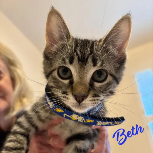 Beth #Little-Women-litter