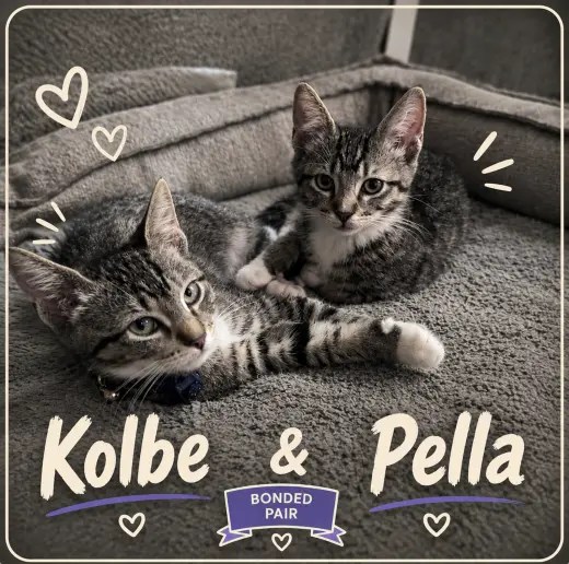 Kolbe & Pella