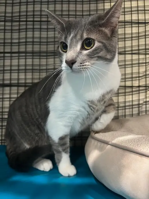 Max * IN FOSTER *