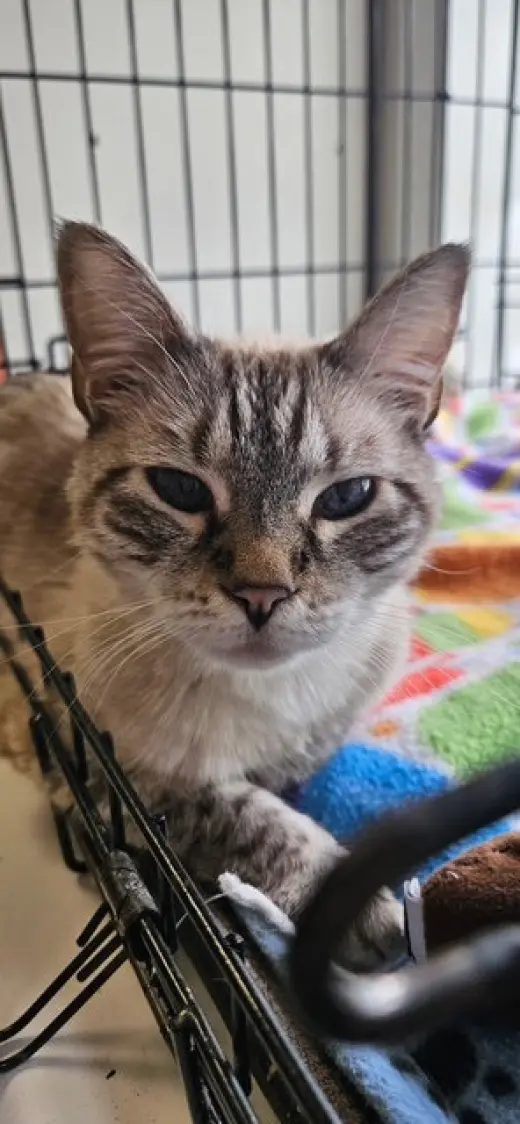 Sophie