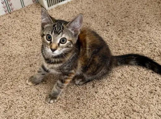 Margo *IN FOSTER*