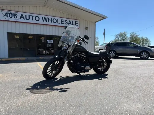 Harley-Davidson XL883N del 2014