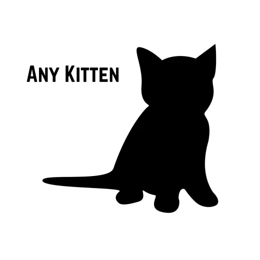 **A Kitten 7 Months and Under