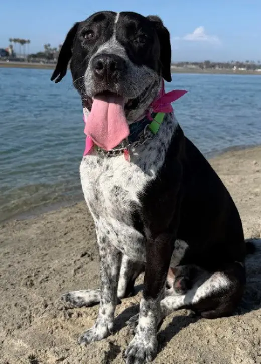 Tucker