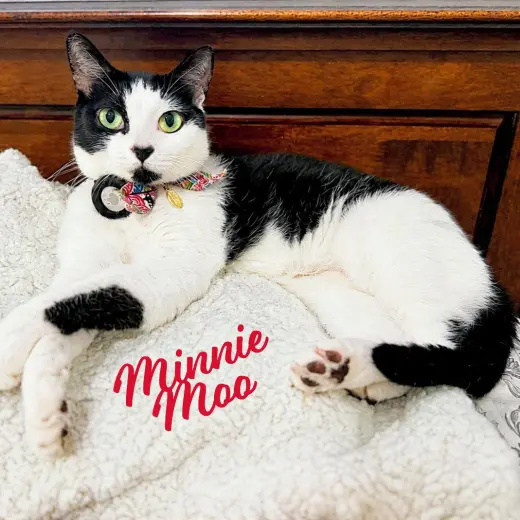 Minnie Moo #love-machine