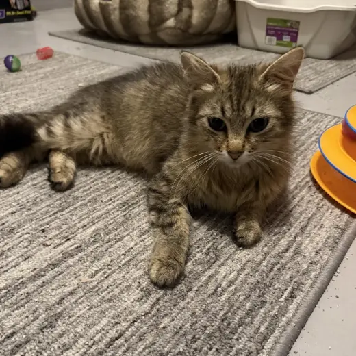 Frankie