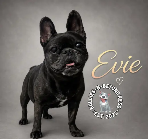Evie