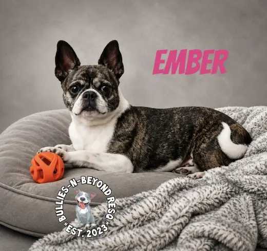 Ember