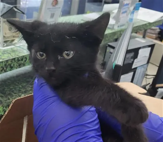 SALEM
