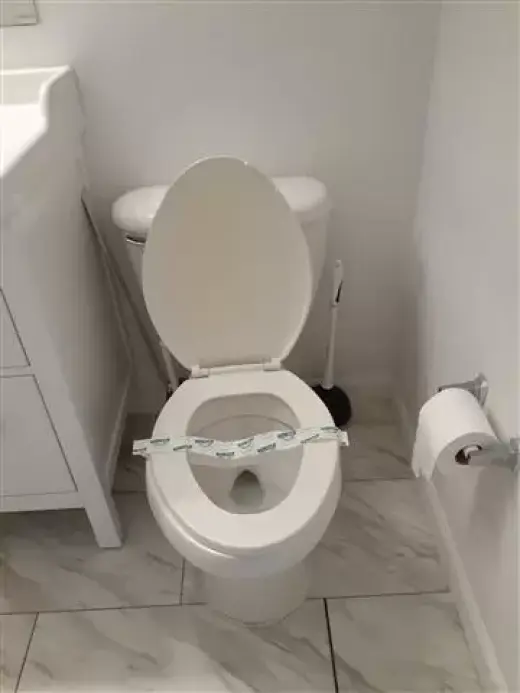 Ele cleaning services
