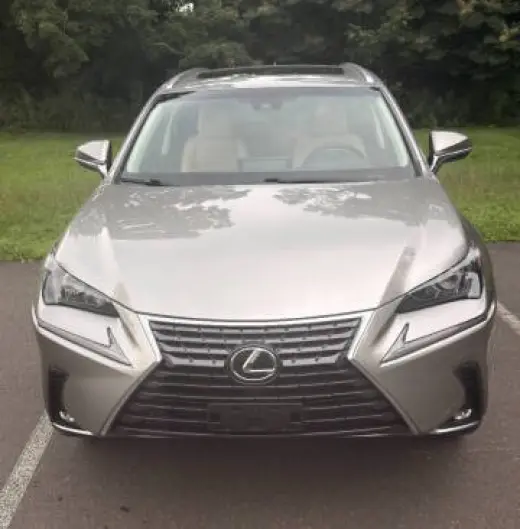 Lexus NX 300 2021