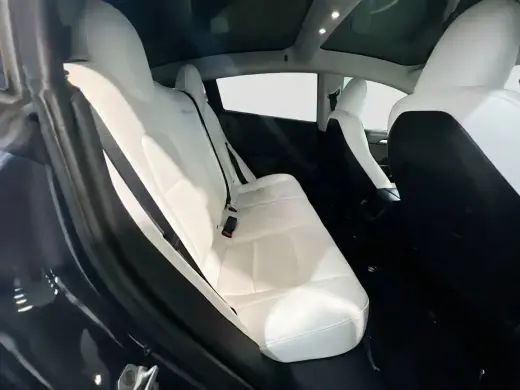 Tesla Model 3 2023 AWD Performance 4dr Sedán