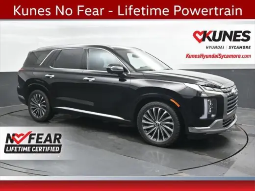 Hyundai PALISADE 2023 AWD Calligraphy 4dr SUV