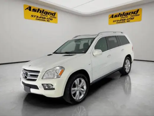 Clase Mercedes-Benz GL 2010