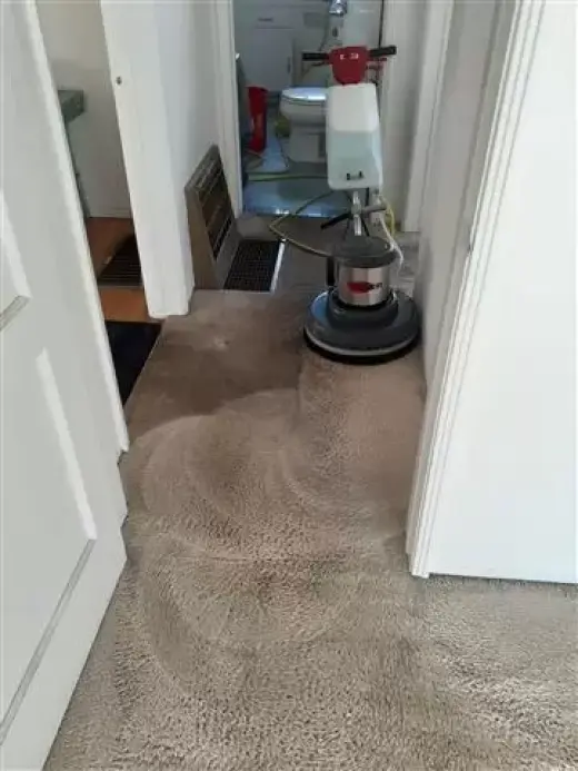 Roberto's Carpet Cleaning