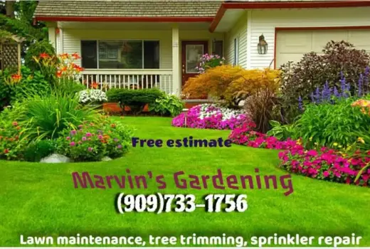 Marvins gardener