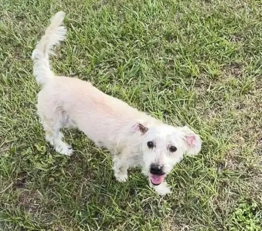 Molly