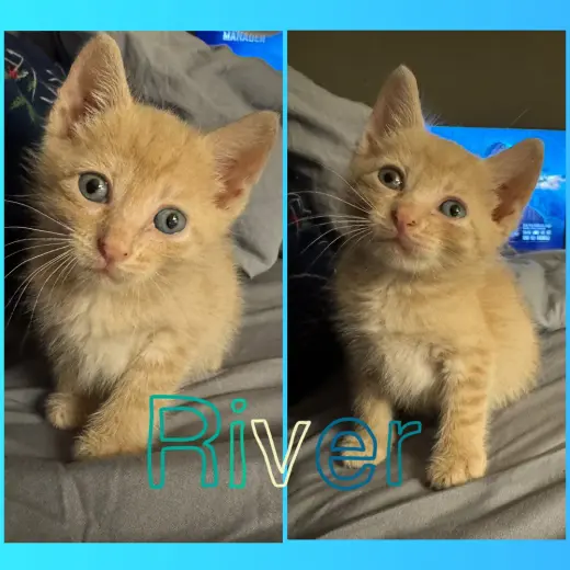 River