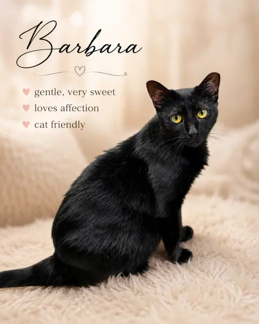 Barbara Willow Grove, PA(FCID# 05/05/2026 - 109)