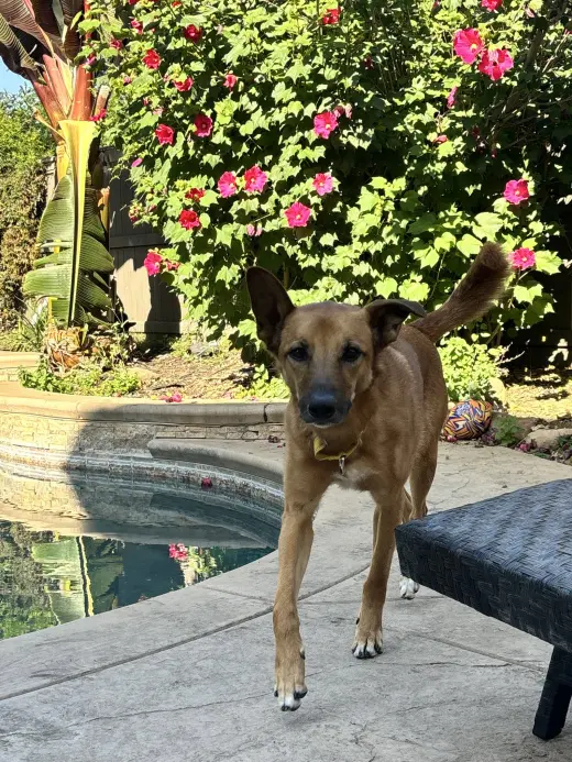 Zeus