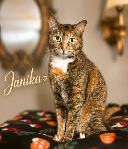 Janika (FCID# 04/02/2026 - 37 Millsboro PS)