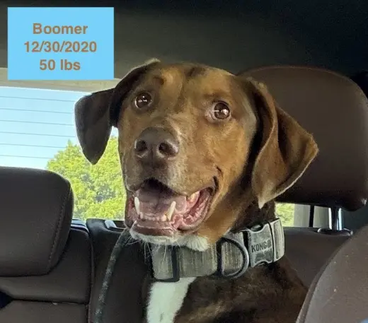 Boomer