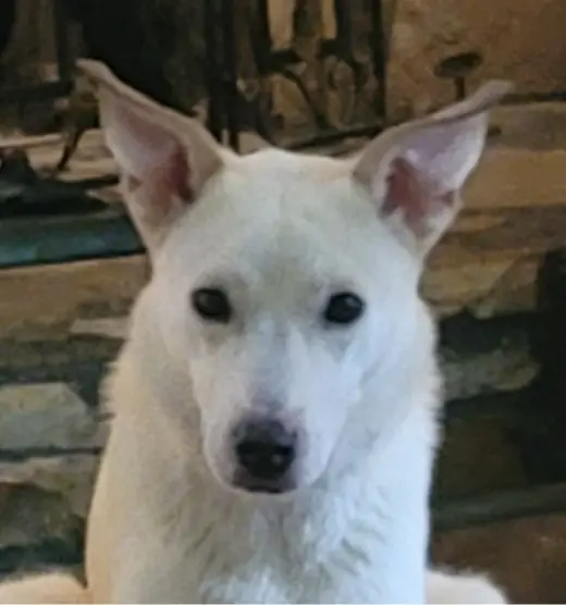 Sami