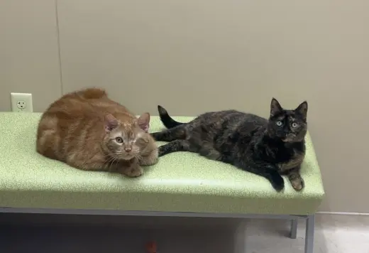 Mimi & Herman
