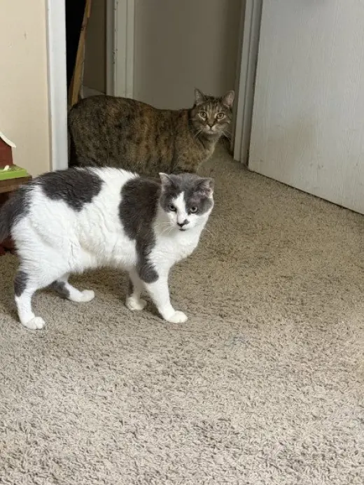 Cleo and Charlie
