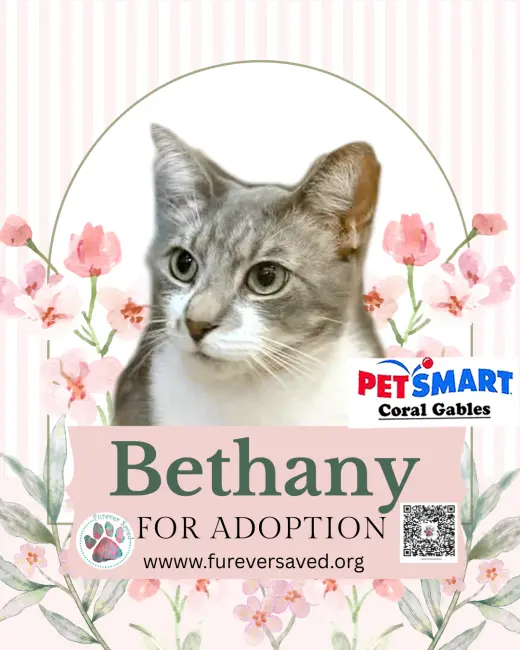 Bethany