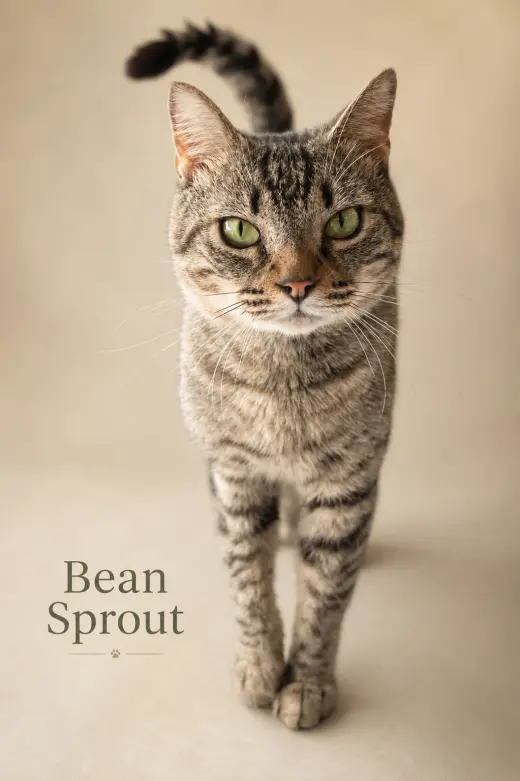 Bean Sprout (FCID# 05/11/2026 - 31 Brookhaven PS)
