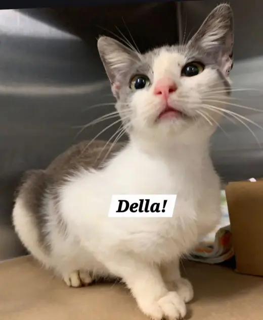 Della