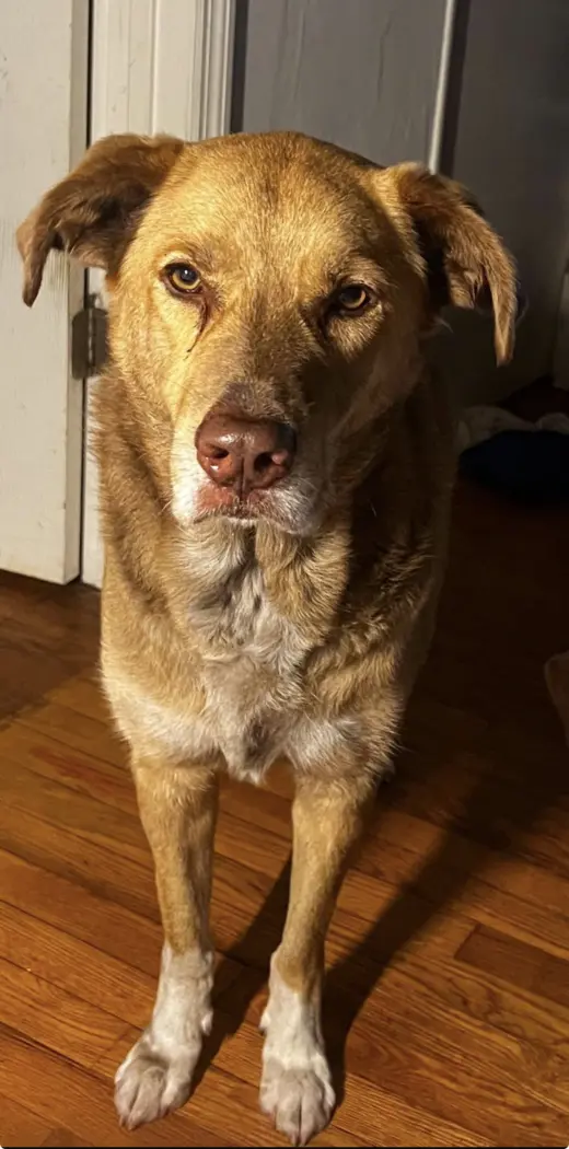 COURTESY POST: Texas