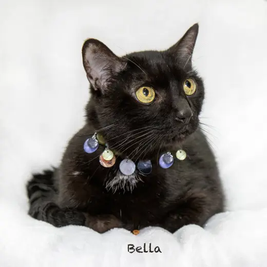 Bella