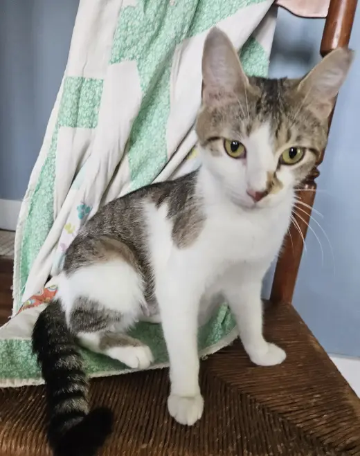 Luna
