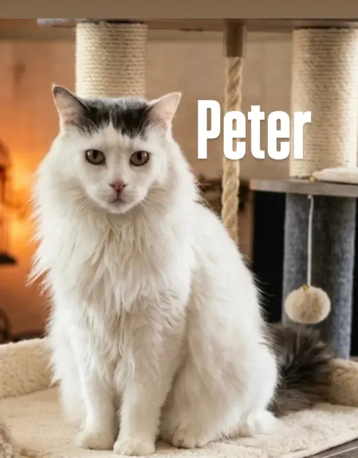 Peter