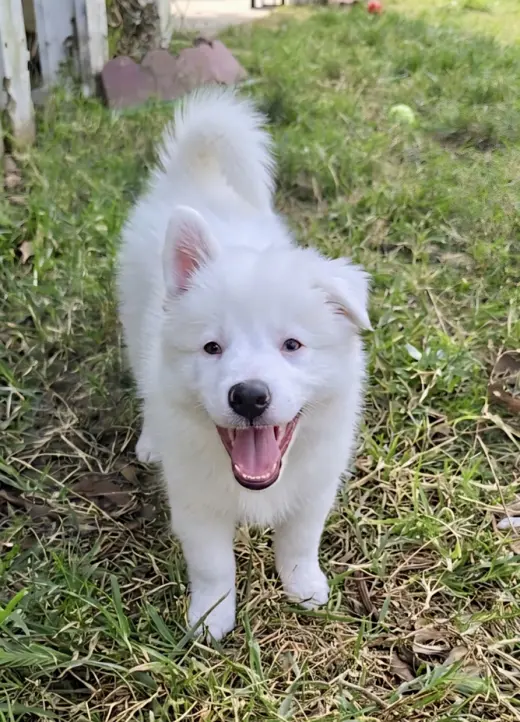 Lucy