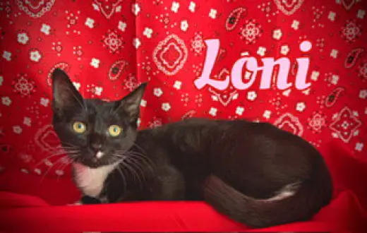 Loni