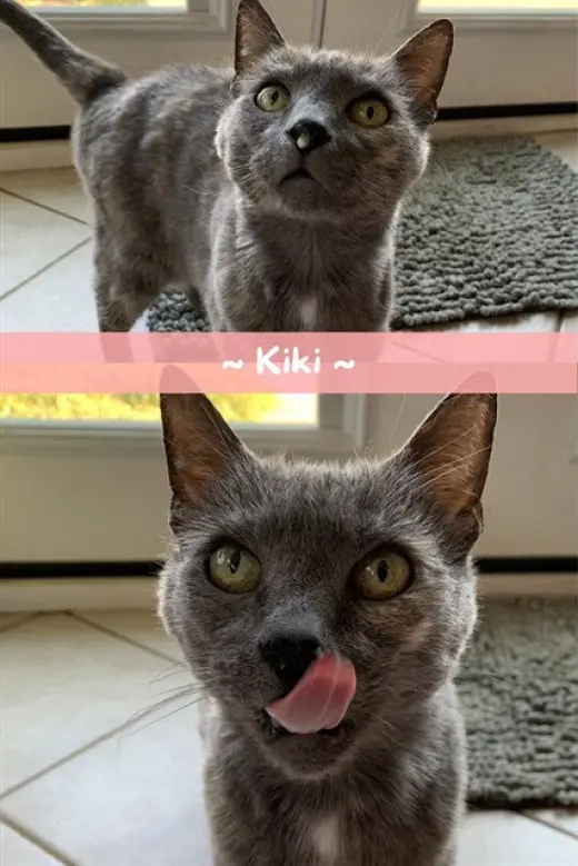 KIKI