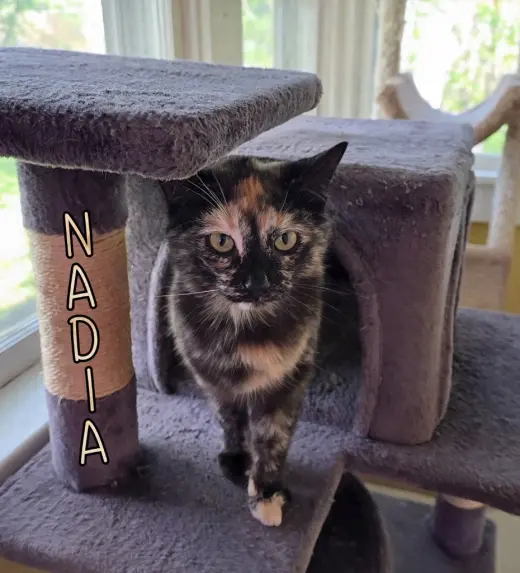 Nadia