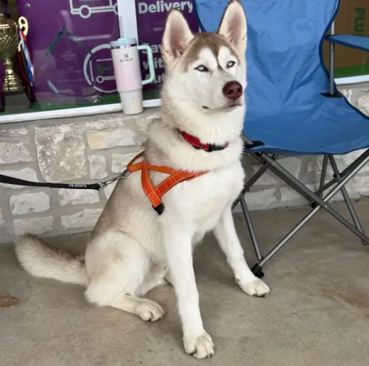 Zeus